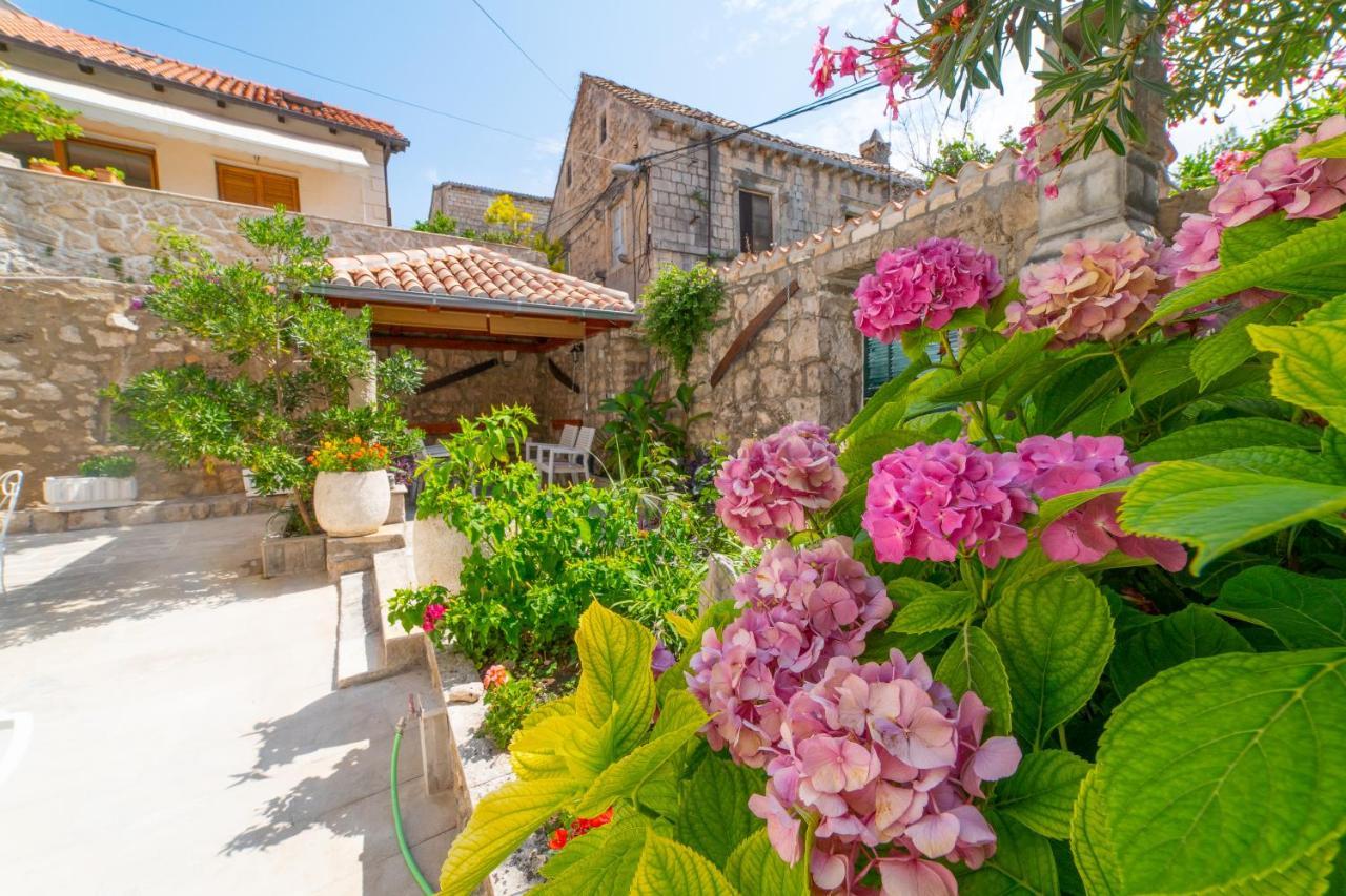 Apartman Andelina Old Town Cavtat Bagian luar foto